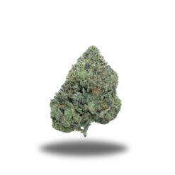 Subzero Pink – Indica