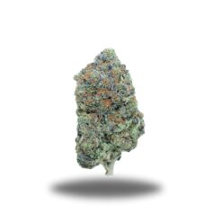 Pink Panther – Indica