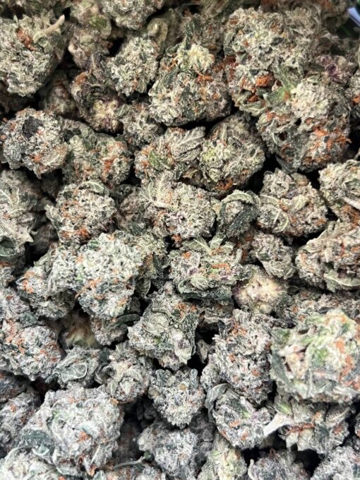 El Chapo Popcorn Smalls – Limited Special