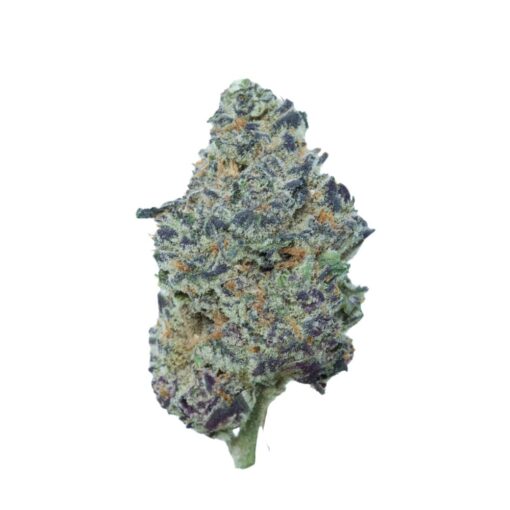 Purple Haze – Hybrid