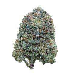 Pink Death – Indica