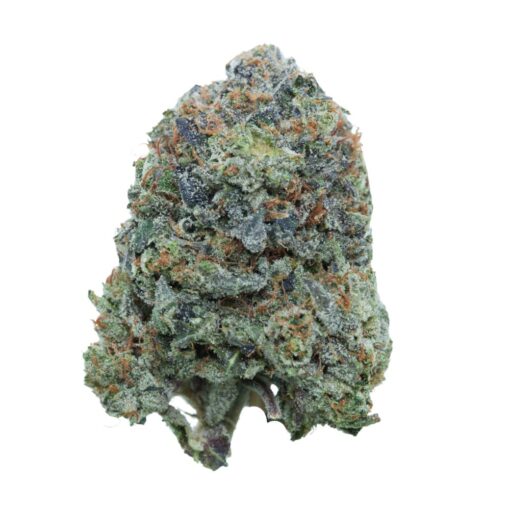 Pink Death – Indica