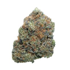 Pink Zombie – Indica