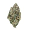 Pink XXX – Indica