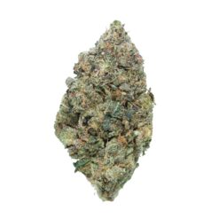 Pink Jedi – Indica