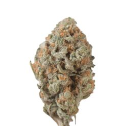 Tangie – Sativa