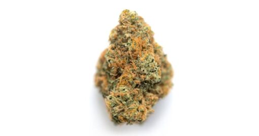 Orange Diesel – Hybrid