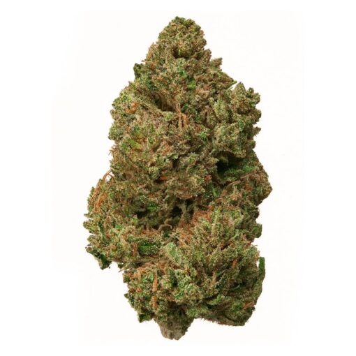 Garlic Bubba – Hybrid