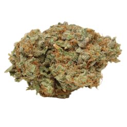 God’s Green Crack – Sativa