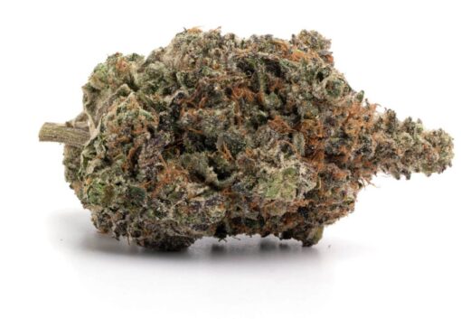 Pink Poison – Indica