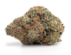 Cali Mints – Hybrid