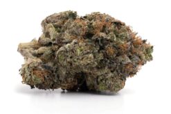 Monster Bubba – Indica