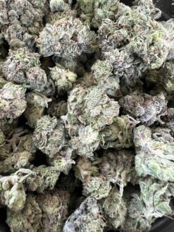 Gas Smalls – Indica