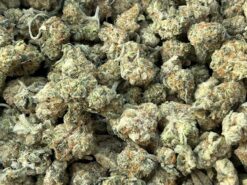 Pink Bubba LSO – Indica