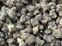 Purple Haze Smalls – Hybrid