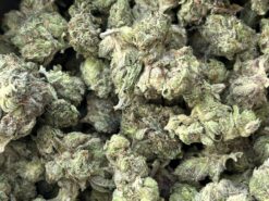 Pink Dirby Smalls – Indica