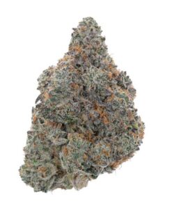 Bruce Banner – Sativa