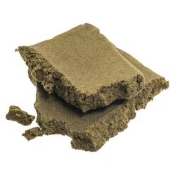 IMAGE 2025 02 25 12:07:30