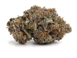 Island Pink LSO – Indica