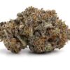 Purple Unicorn – Sativa
