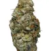 Purple Unicorn – Sativa
