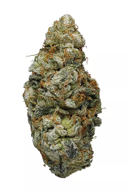 GasDank Quad Pre-Roll Pack