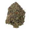 Nuken – AA – $60