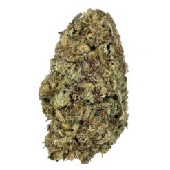 Nuken – AA – $60