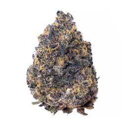 Phoenix OG – AAA+