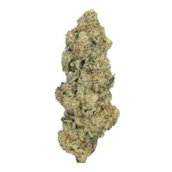 Pink Gas – AAA+