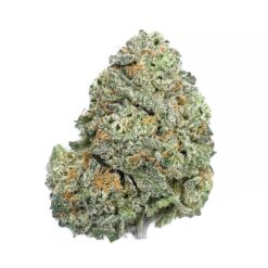 Pink Gelato – AAA+