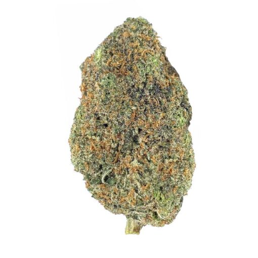 Purple Urkle – AAA