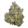 Pink Sherbet – AAAA – $200/Oz