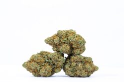 Maui Wowie – Sativa