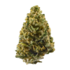 Golden Goat – Sativa