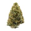 Very Berry – Sativa Bulk