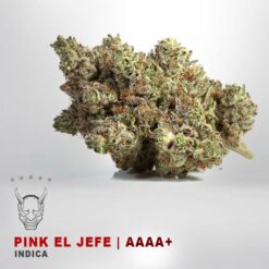 Pink El Jefe – AAAA+