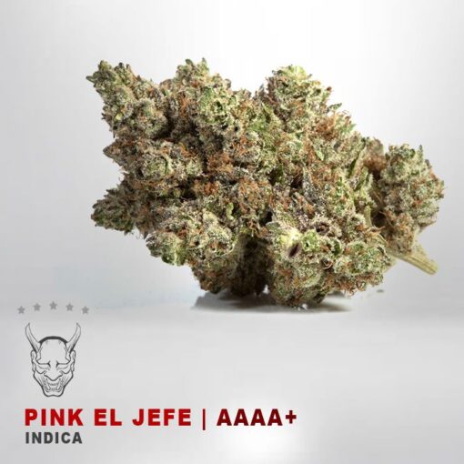 Pink El Jefe – AAAA+