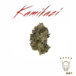 Purple Pink Kush – AA+ – Oz Deal