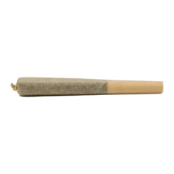 1G Pre Rolls – Single