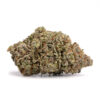 Death Star LSO – Indica