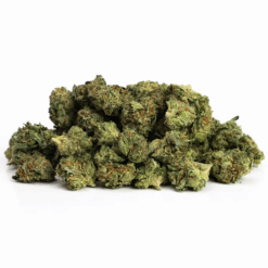 Pinetar Smalls LSO