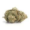 Supreme Pink – Indica