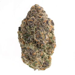 Pink Miami – Indica