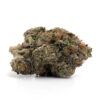 Passout Pink LSO – Indica