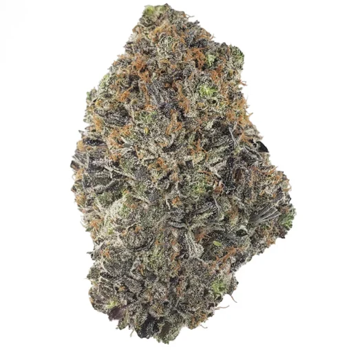 Astro Pink – Indica BULK