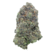 Astro Pink – Indica BULK