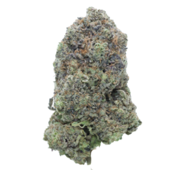 Pink Zushi – Indica BULK