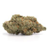 Platinum RS – Indica