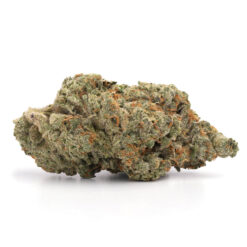 Pink Gas – Indica